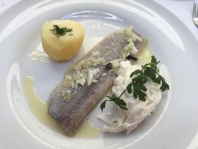 Sleď – nejpopulárnější polská ryba