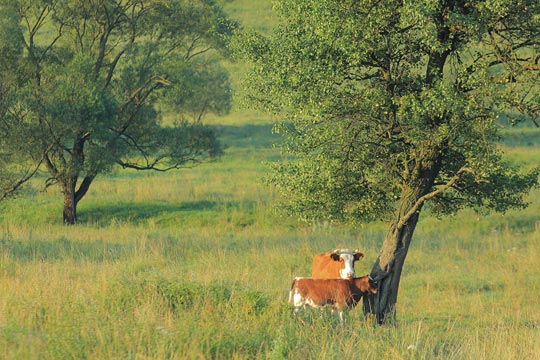 Lemkovský region - cesta v čase  