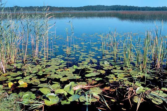 Roztoczanský národní park 