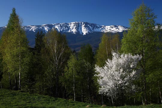 Národní park Babia Góra